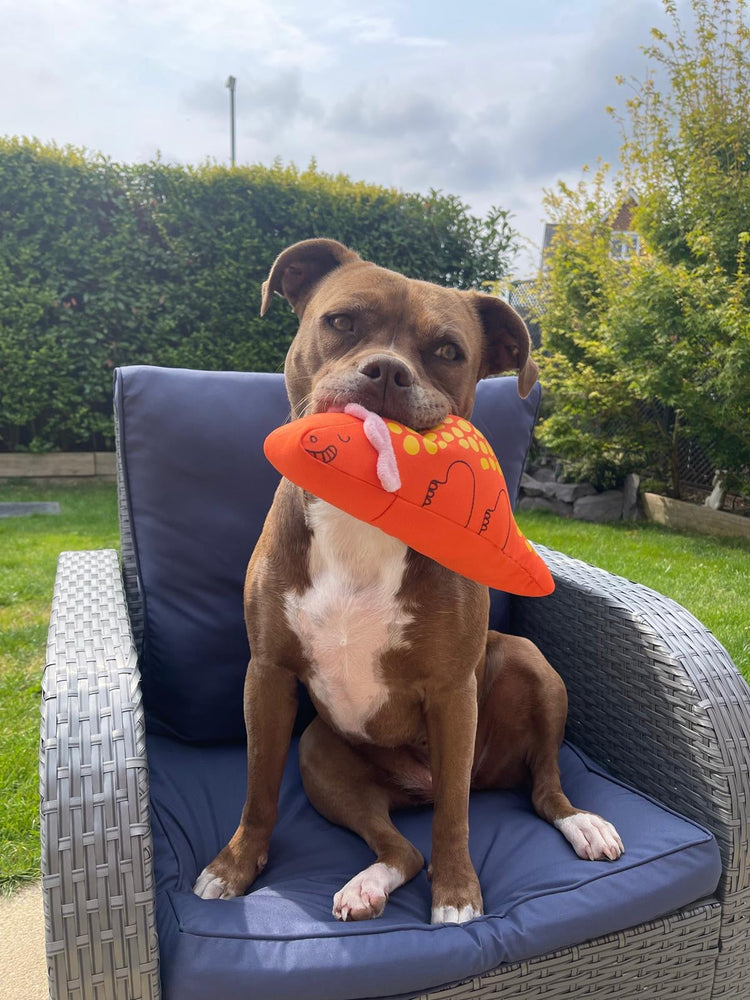 Big Dogs deserve bigger Stuff