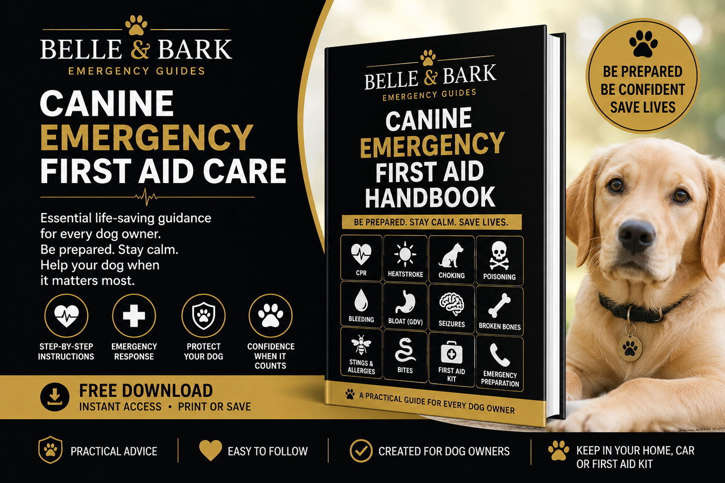 Emergency First Aid Care