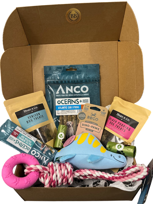 Belle's essentials box (Small)