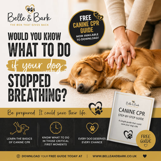 Step by Step CPR Guide