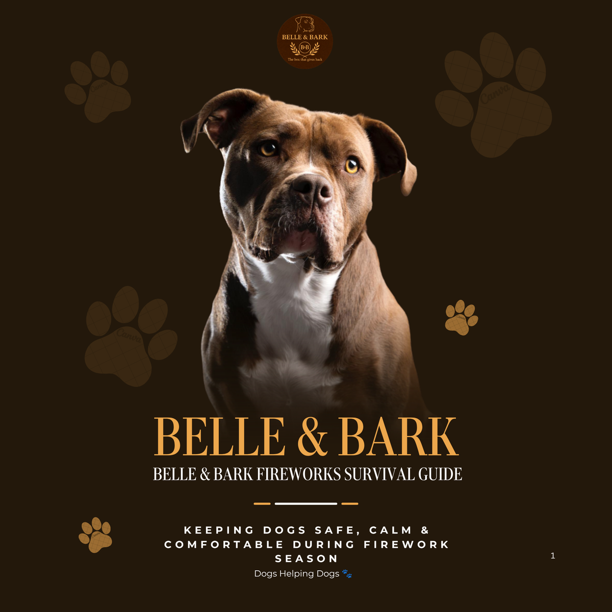 Belle and Bark Fireworks Survival Guide