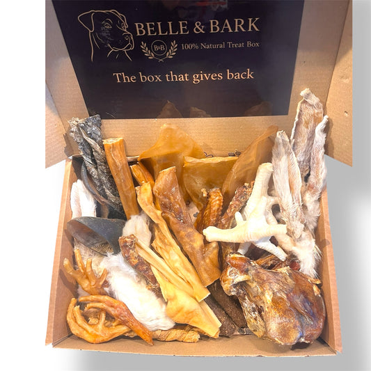 Belle’s Natural Feast Box (40 pcs)