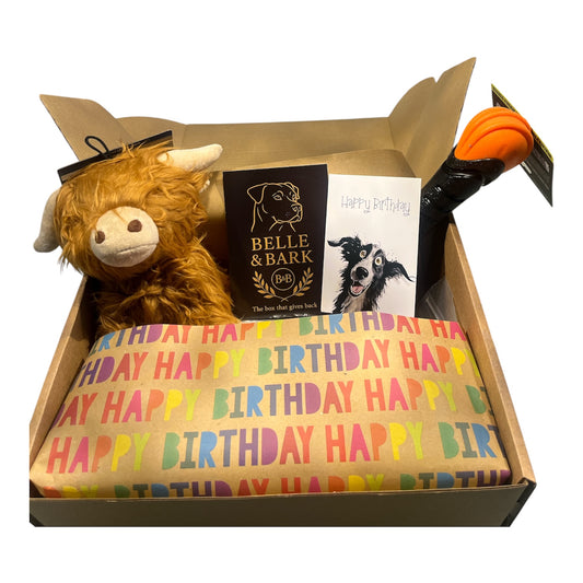 Open Belle and Bark gift box with birthday wrapping, a card and dog toys