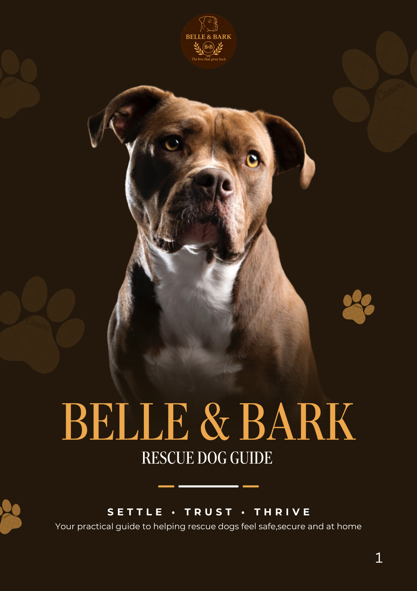 Belle and Bark Rescue Dog guide cover